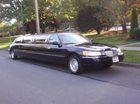 Custom Limo